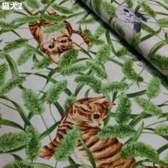 ✿Cat ＆ Setaria viridis<オックス> 生地 [白地]