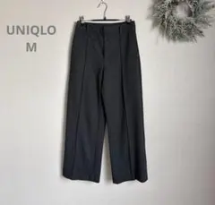 ブラッシュドジャージーワイドパンツ m