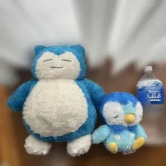 ポケットモンスターのぬいぐるみ2個セット