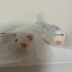ディズニー Nuiパン　ミニチュアキーチェーン　ベイマックス　ガチャ