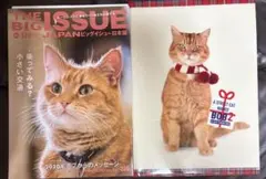 ビッグイシュー 375号＆映画「ボブと言う名の猫2」クリアファイル1枚セット