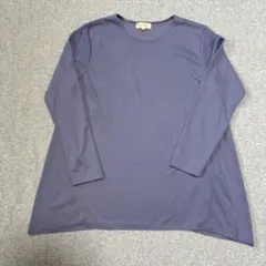 L美品ALPHA CUBIC ブルー系長袖トップス