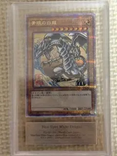 2025年最新】青眼の白龍 arsの人気アイテム - メルカリ