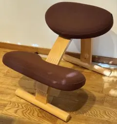 バランスイージー 通常フレーム