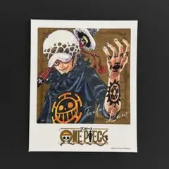 ワンピース フォトカード＆ステッカー 第1弾 トラファルガー ロー