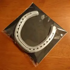 【本物の蹄鉄】馬蹄