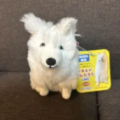 GiGO限定 サモエドりんたろう LMC ぬいぐるみ マスコット