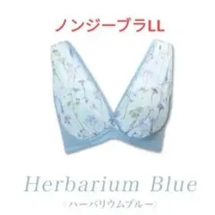 2025年最新】ノンジー ブラの人気アイテム - メルカリ