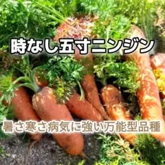 NanaHana（プロフご確認下さい）様 リクエスト 4点 まとめ商品