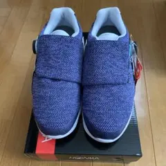 Item thumbnail for item 6ba42b67-2be7-414c-b94d-d1853f77c2cb