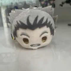 ハイキュー 木兎光太郎 もちマス