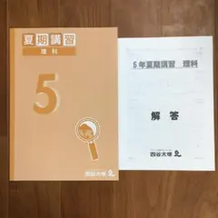 2026年最新】四谷大塚 夏期講習 5年の人気アイテム - メルカリ