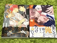 キズあり : スモーキーネクター Unknown /フォールダウン