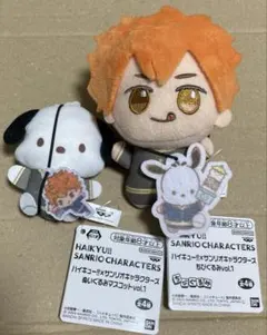 ハイキュー!! サンリオコラボ　日向翔陽　ポチャッコ　セット