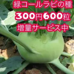 ネコのかんちゃん^ ^『プロフも必読を』様 リクエスト 2点 まとめ商品