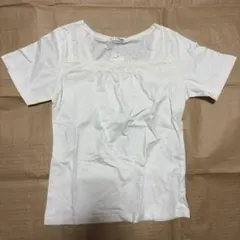 値下げ！新品未使用　a.v.v standard ホワイト 半袖シャツ 40