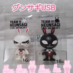チャン・グンソク グンサギUSB