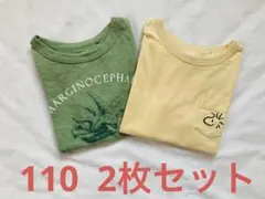 UT 恐竜　ピーナッツ　ウッドストック　Tシャツ セット　ユニクロ