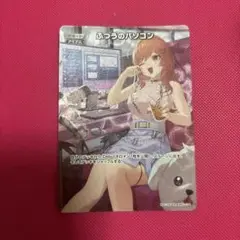 ふつうのパソコン　プロモ　ホロカ ふつうのパソコン【ホロカトレカお買得価格通販：トレコロ】