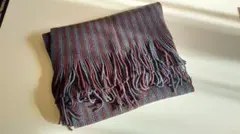 Item thumbnail for item 2fd1bd86-412a-4e8a-9412-717671c4303d