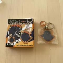 ハイキュー　動物ラメアクリルキーホルダー　烏野　澤村大地