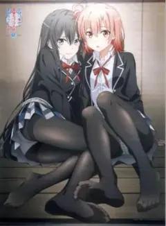 やはり俺の青春ラブコメはまちがっている。B2タペストリー 雪乃＆結衣 くろタイツのサムネイル