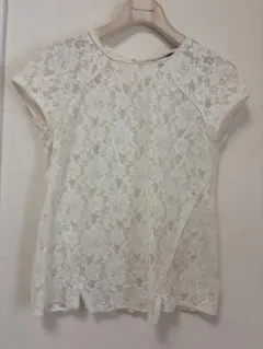 ZARA BASIC アイボリー レース 半袖 XS