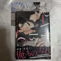 PAYBACK 韓国BL 1巻 アニメイト特典