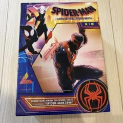 Spider-Man: Across the Spider-Verseフィギュア