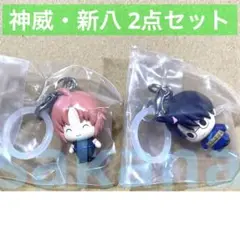 銀魂 吉原大炎上 ガチャガチャ めじるしアクセサリー 神威 新八 2点セット