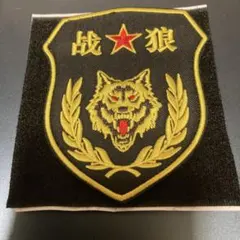 中国　中国軍　人民解放軍　ワッペン　狼軍団　勲章
