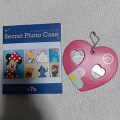 ディズニー　シークレットフォトケース