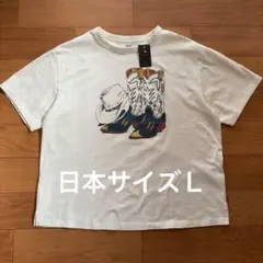 Levi's リーバイス GR TABOR Tシャツ　日本サイズL