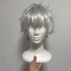 ツイステ シルバー(セット済みウィッグ） - メルカリ