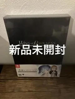 有翼のフロイライン　リミテッドエディション　限定　スイッチ　switch 美品