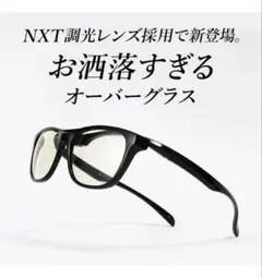試着のみ TALEX OZNIS flat13 tureview - メルカリ