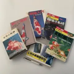 ぼぼりんさん専用】尾西のアルファ米（赤飯 ）1食分×50袋入り - メルカリ