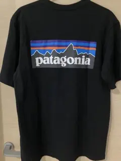 patagonia 黒 Tシャツ バックプリント XSサイズ