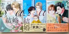 傷ありαとひねくれΩの結婚　訳ありαと迷子Ωの結婚　銀川けい