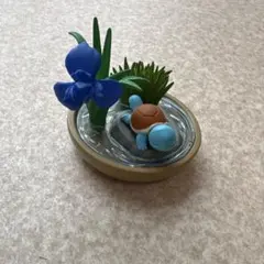 ポケモン リーメント ぽけっとBONSAI2 小さな四季の物語 ゼニガメ