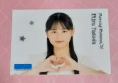 クリアステッカー　モーニング娘。'26　安田美結　➁