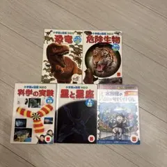 Item thumbnail for item 68797698-1deb-479b-b39a-5bb2b5deddd8