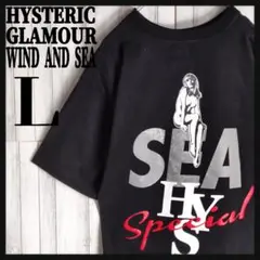 【限定コラボ】ヒステリックグラマー×ウィンダンシー 両面ロゴ 即完売 Tシャツ.