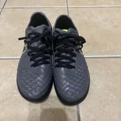 Item thumbnail for item e3f71571-111f-45d5-ba21-66434babe6c9