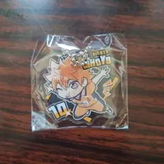 ぴた! でふぉめ ハイキュー!! 日向翔陽.