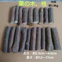 栗の木の枝☆20cm前後品☆無農薬☆乾燥済み☆ - メルカリ
