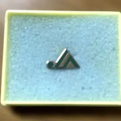 JA 農業協同組合 徽章 会長表彰ゴールドバッチ JA 農業協同組合 徽章 会長表彰ゴールドバッチ