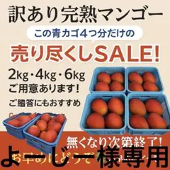 よーじー様専用 4kg 訳あり完熟マンゴー