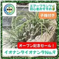 おまとめ元値より10%オフ/yuuuki様 リクエスト 5点 まとめ商品