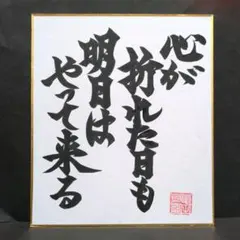 toripippi様 リクエスト 3点 まとめ商品